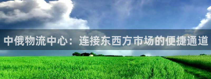 ,优游国际软件