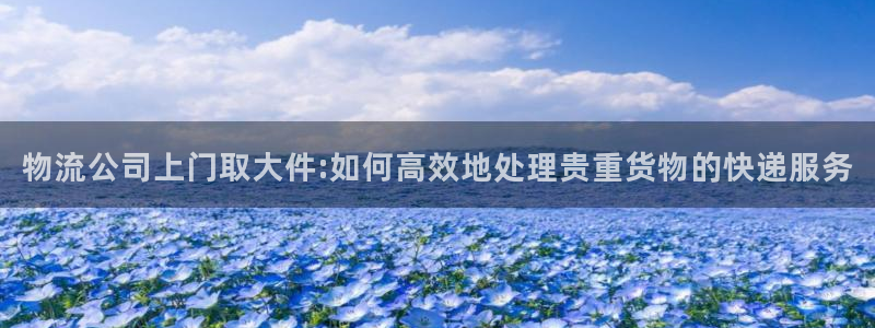 ,优游国际返水怎么算的：物流公司上门