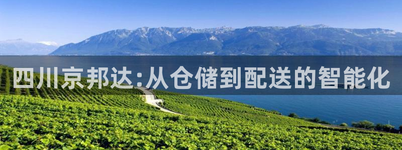 优游国际注册链接:四川京邦达:从仓储