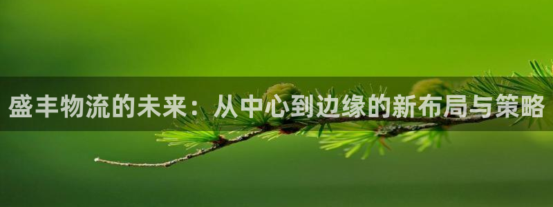 ,优游国际口戒指是多大:盛丰物流的未