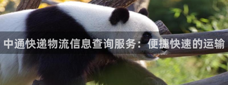,优游国际电子游戏:中通快递物流信息