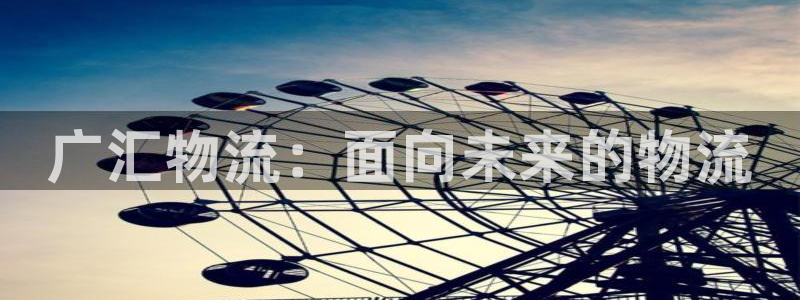 ,优游国际登录流程：广汇物流：面向未