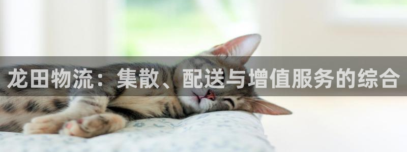 ,优游国际注册链接：龙田物流：集散、