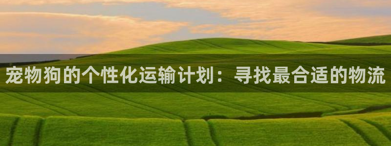 ,优游国际p图上分下款通道：宠物狗的