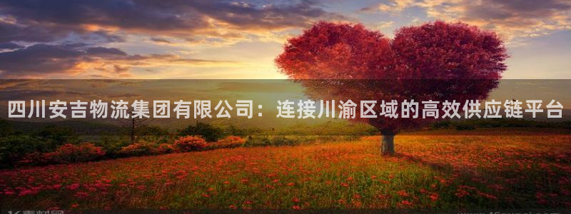 ,优游国际圈助手：四川安吉物流集团有