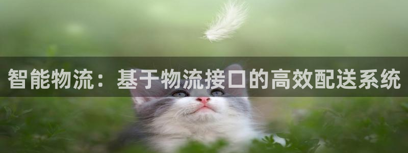 ,优游国际麻将胡了爆分视频：智能物流