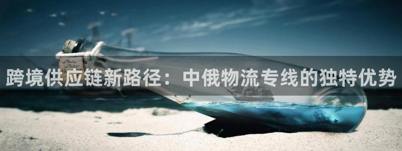 ,优游国际反水什么时候到：跨境供应链