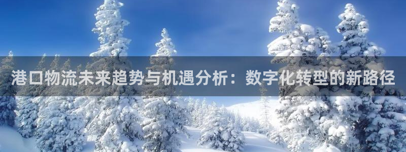 优游国际官网入口pc28：港口物流未
