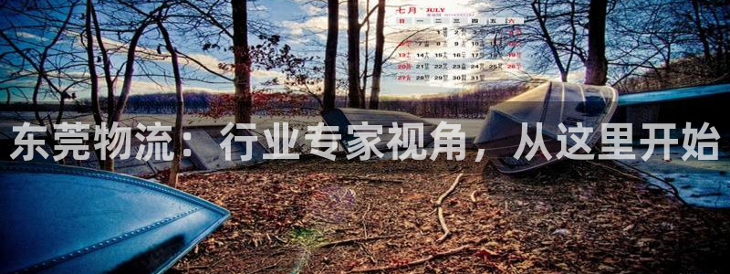 ,优游国际官方版正版：东莞物流：行业