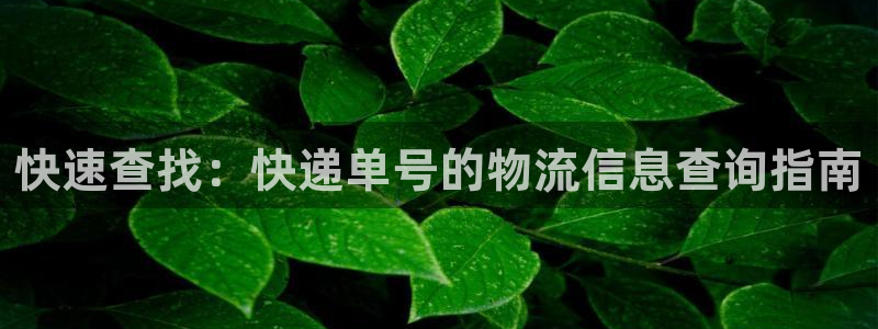 ,优游国际app官网少林足球：快速查