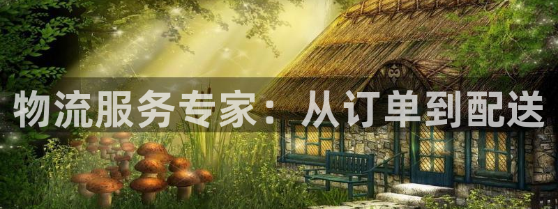 ,优游国际软件有什么用：物流服务专家