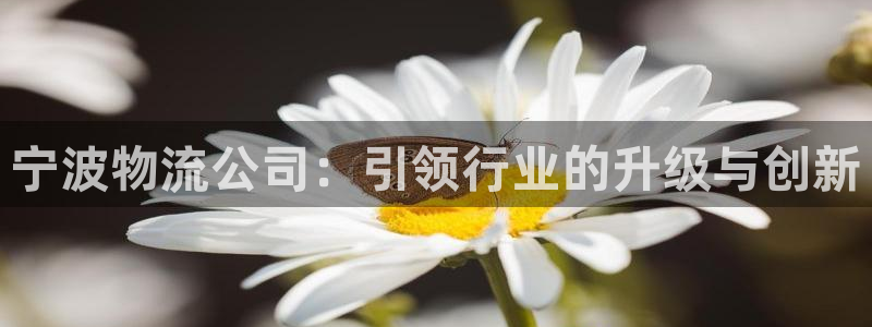 ,优游国际分分28预测：宁波物流公司