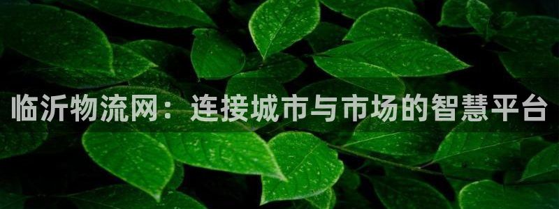 ,优游国际充值金额随便：临沂物流网：