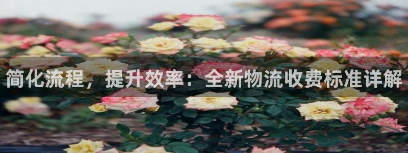 ,优游国际注册登录链接流程：简化流程