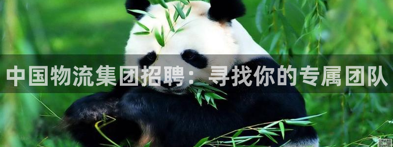 ,优游国际注册入口与教程：中国物流集