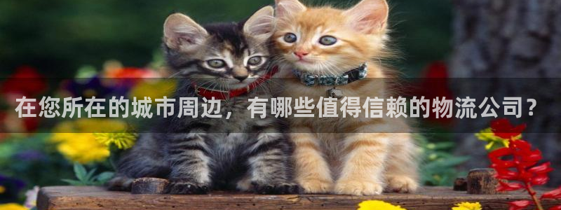 ,优游国际相信品牌的力量：在您所在的