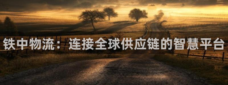 麻将1,优游国际：铁中物流：连接全球