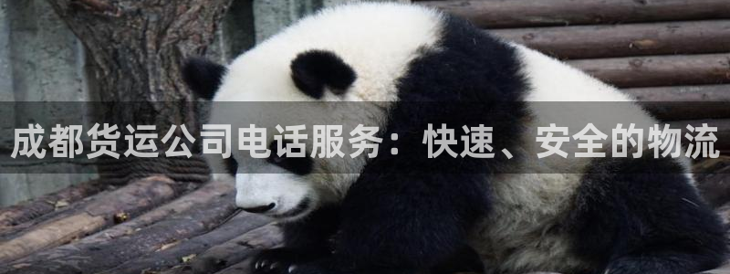 ,优游国际现在狂杀：成都货运公司电话