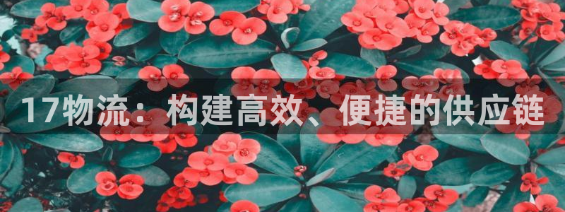 ,优游国际怎么下载不了：17物流：构建高效、便捷的供应链