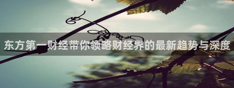 咪咕篮球直播：东方第一财经带你领略财经界的最新趋势与深度