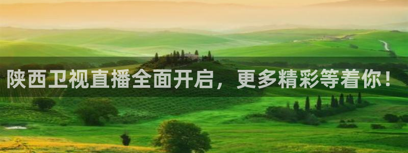 咪咕视频体育直播nba：陕西卫视直播全面开启，更多精彩等着你！