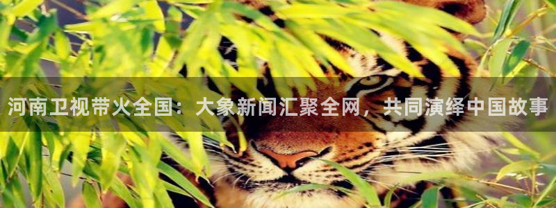 下载咪咕视频app下载安装：河南卫视带火全国：大象新闻汇聚全网，共同演绎中国故事